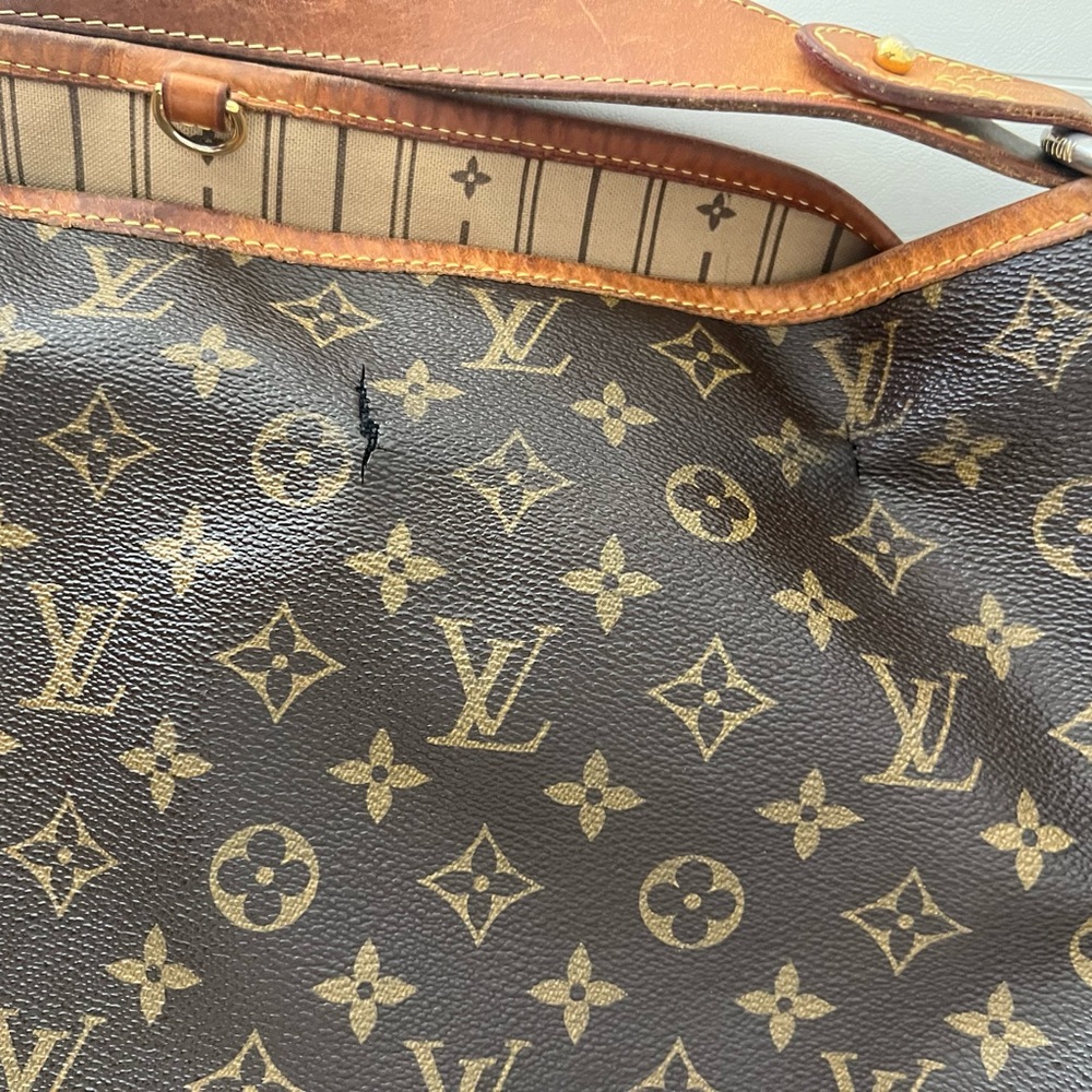 Auth Louis Vuitton Delightful Gm #N9546V26O - Picture 14 of 16